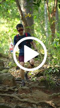 BIB:  <button type="button" onclick="openModal(27639786)" class="btn btn-primary btn-sm float-right" data-toggle="modal" data-target=".modal-high-quality">
                <i class="fa fa-download"></i> Download
                </button>